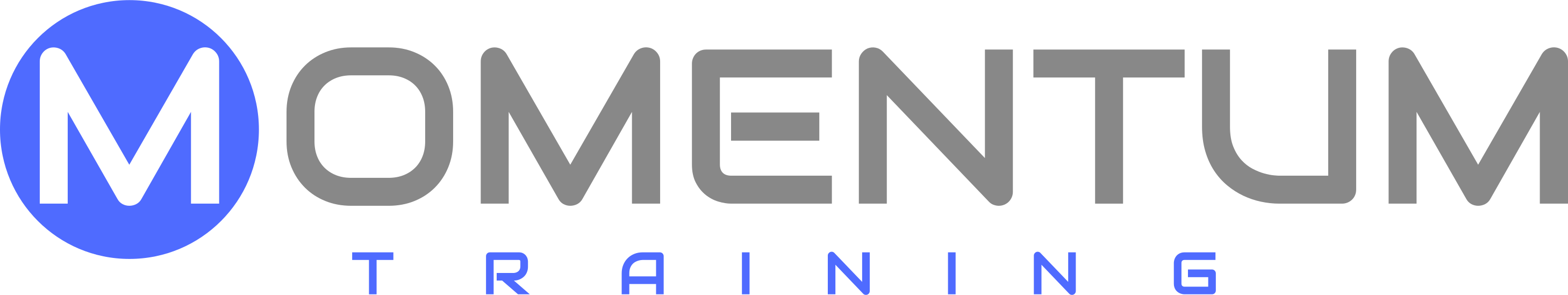 Momentum Training